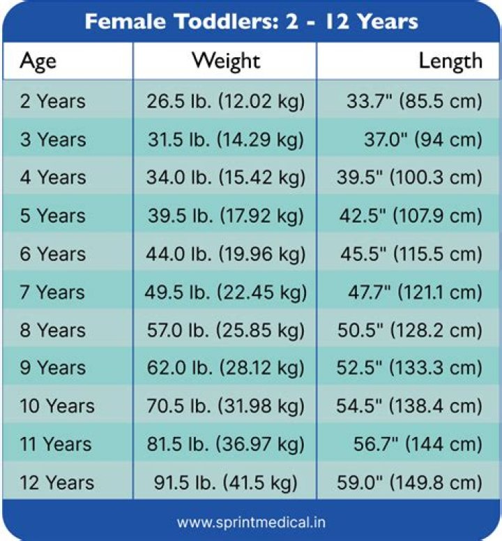 A Deeper Dive into Height, Weight, Age, and Family
