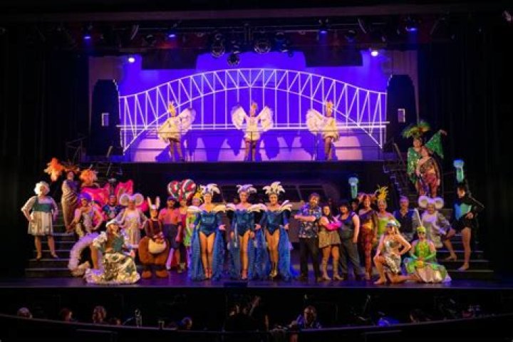 A Journey Of Theatrical Excellence And Television Triumphs