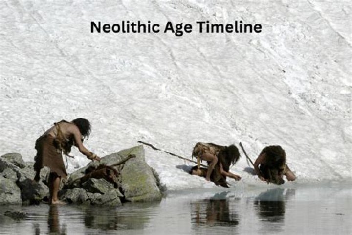 Age, Achievements, And Wikipedia Insights