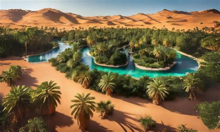 An Oasis Of Nature And Comfort