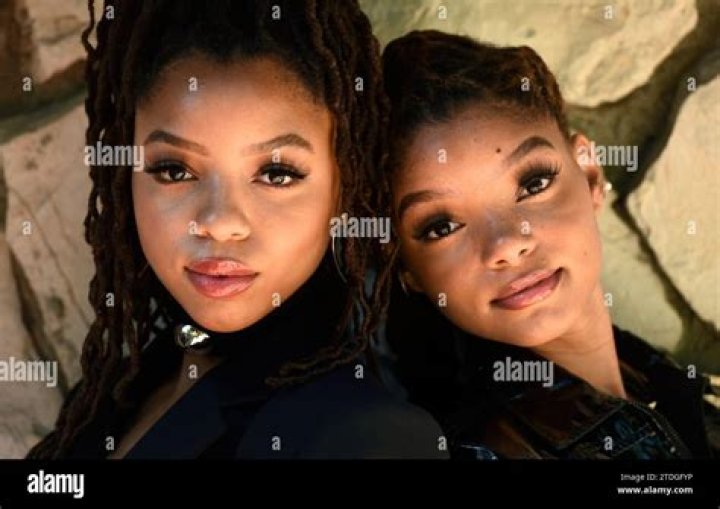 Chloe And Halle's Older Sister