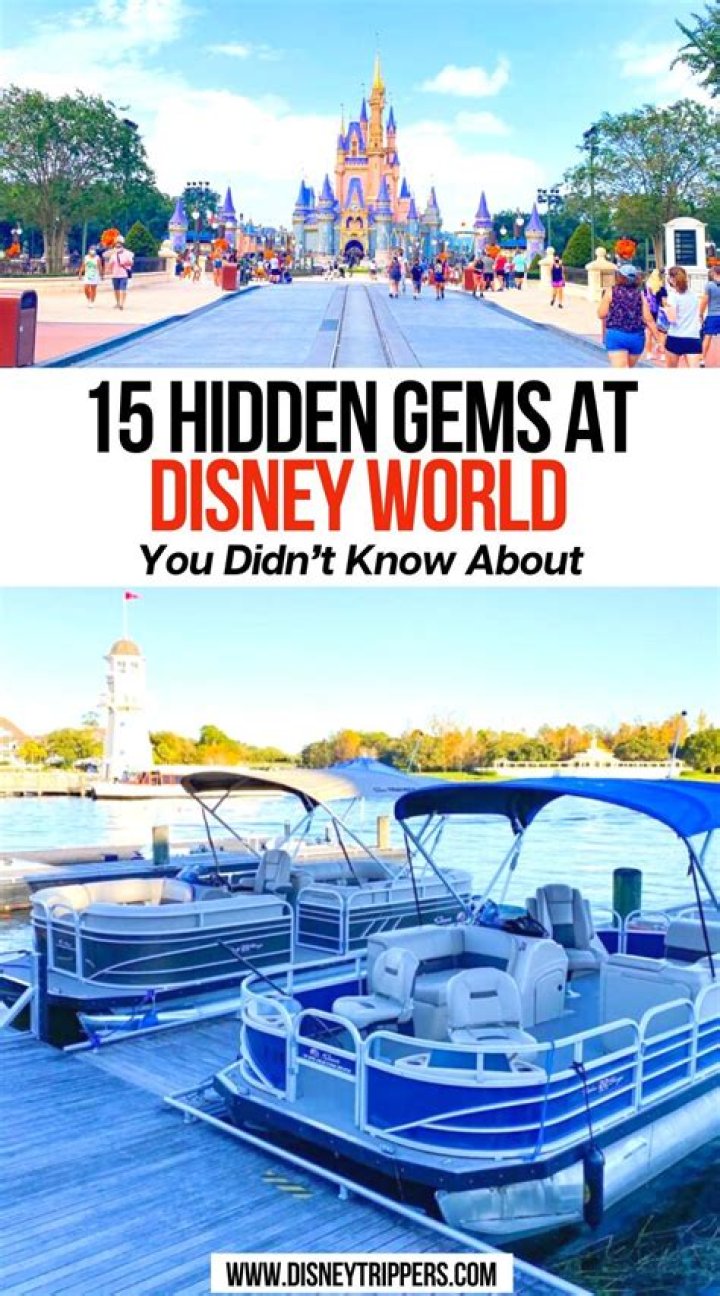 Discover Hidden Gems At Disney Springs Orlando
