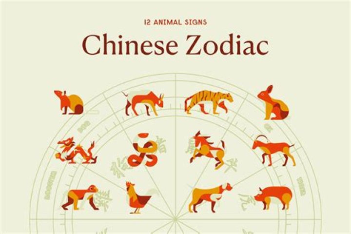 Discover The Cosmic Secrets Of Your Nadine Zodiac Sign