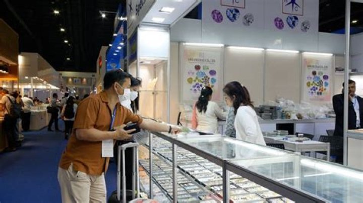 Discover Unsung Gems And Unveiled Insights