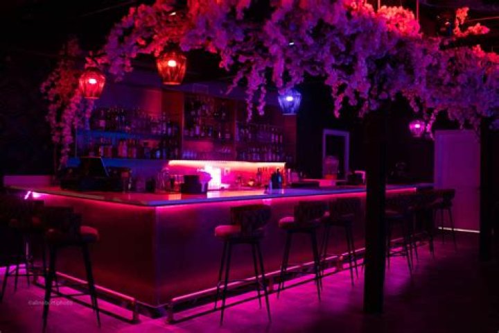 Experience Raleigh's Premier Nightlife Destination