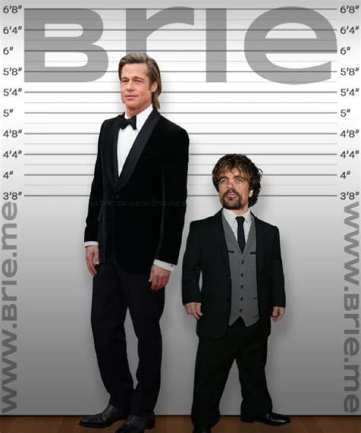 Exploring The Real Brad Pitt Height
