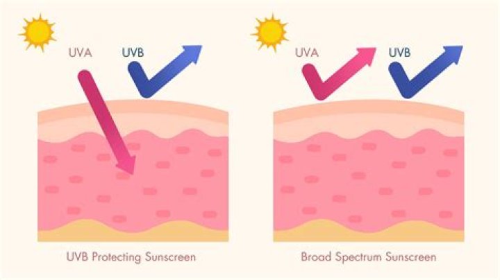 How Long Does Sunscreen Last? How SPF Works ·