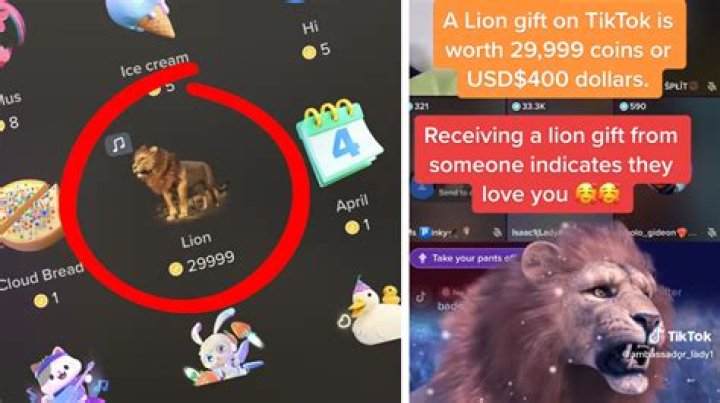 How Much Is a Lion on TikTok Live? It's One Expensive Gift |
