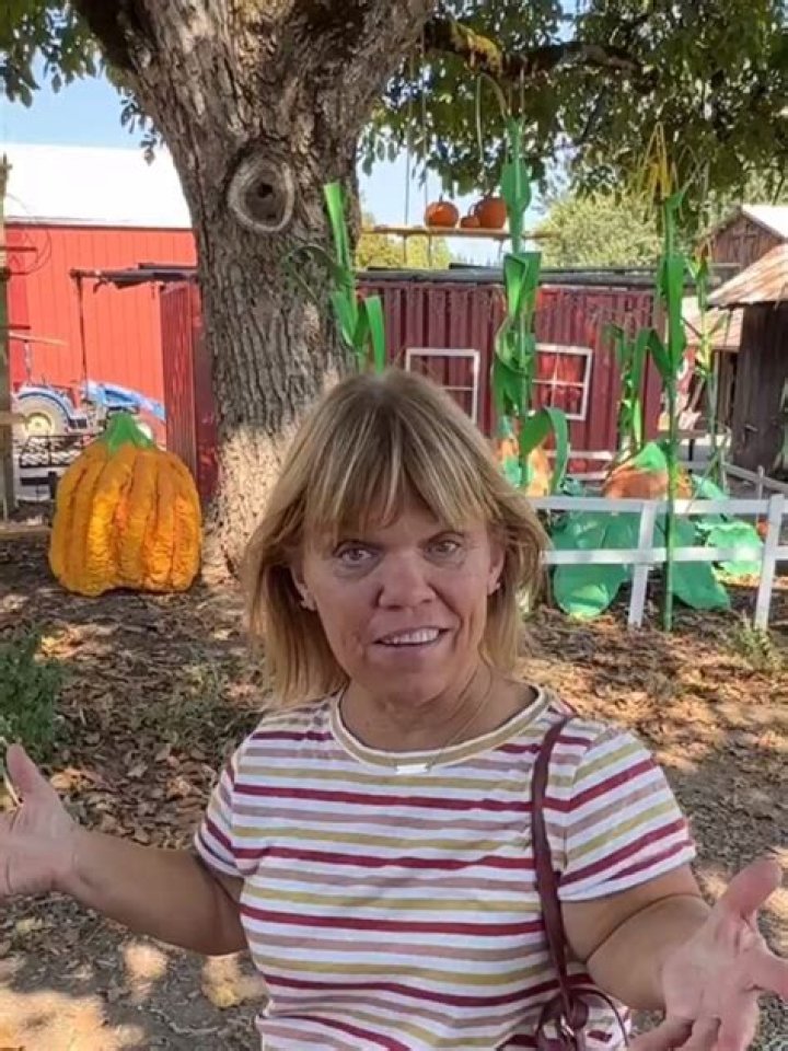 is Amy Roloff Pregnant 2023? Baby Bump And Pregnancy