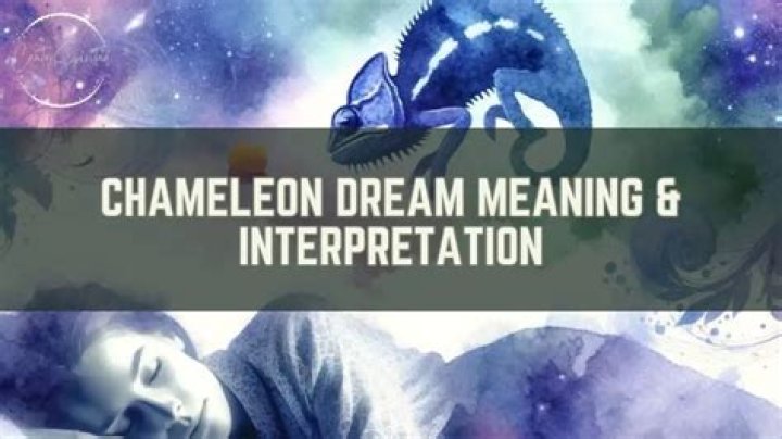 Kill And Chameleon Dream Interpretation |
