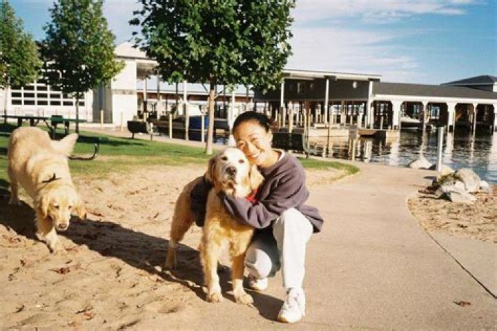 Lessons From Daniel Henney And Ru Kumagai