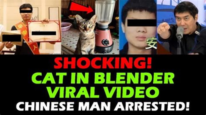 Man Puts Cat In Blender Video