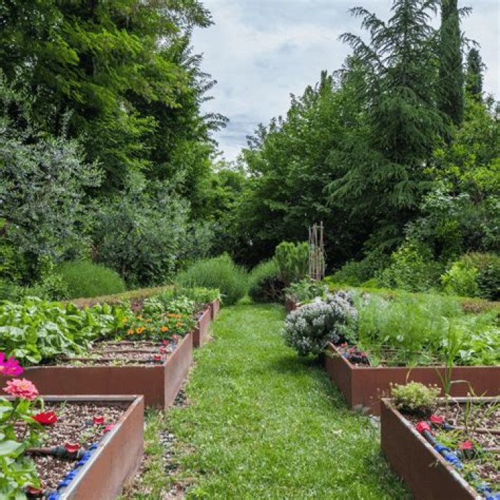 Maximize Yield In Small Gardens