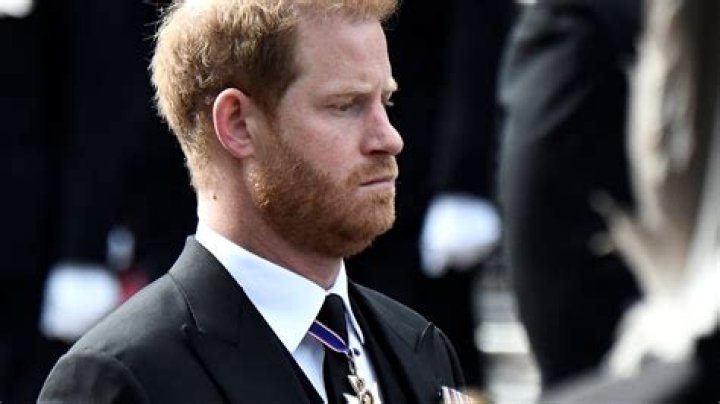 Meghan and Harry Net Worth How Much are Meghan and Harry Worth?