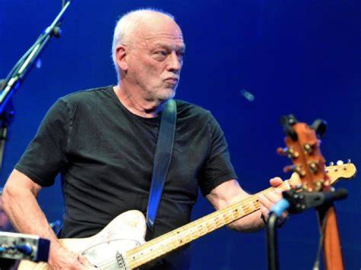 pinkfloydigan David gilmour, David gilmour pink floyd, Pink floyd fan