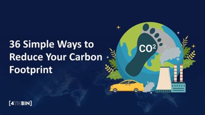 Reduce Your Carbon Footprint While Supporting Sustainable Brands
