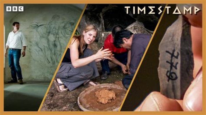 Surprising Discoveries And Behind-the-Scenes Insights