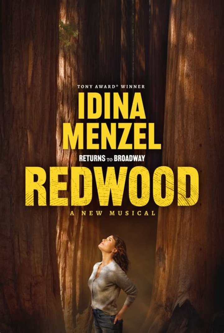 The Son Of Broadway Icon Idina Menzel
