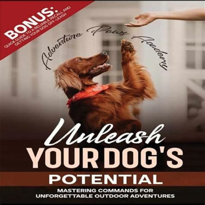 Unleash Your Dog's True Potential
