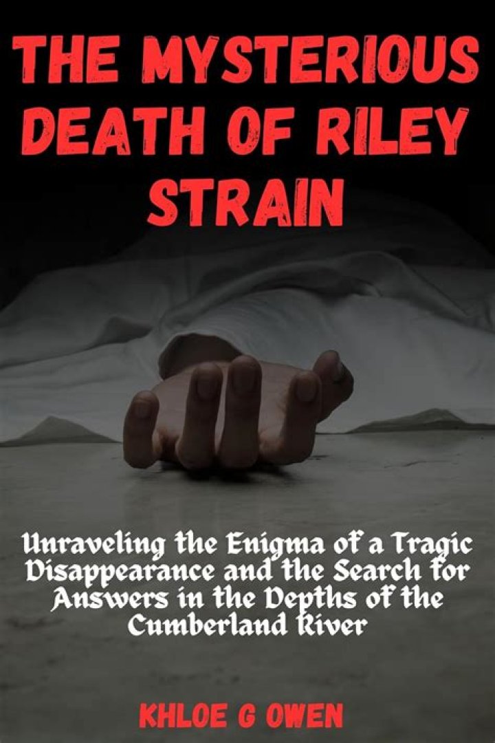 Unraveling The Enigma Of A Tragic Loss