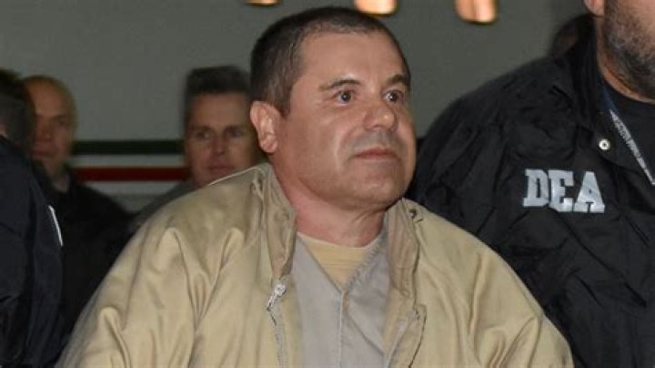 What is Ovidio Guzmn Lpez Net Worth?